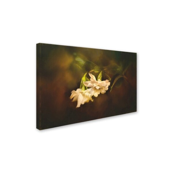 Jai Johnson 'Gardenia In The Garden' Canvas Art,30x47